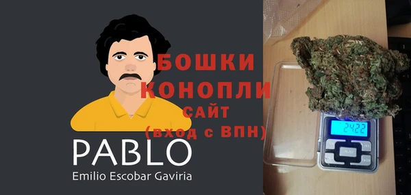 гидра Алзамай