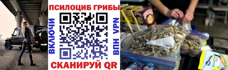Псилоцибиновые грибы MAGIC MUSHROOMS  площадка какой сайт  Чехов 